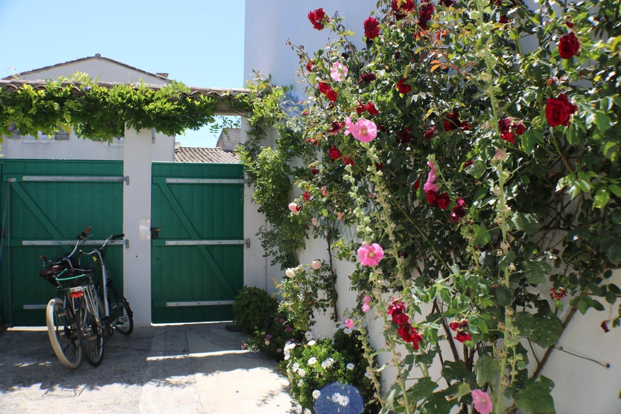 Beau T3 *** Pour 2 A 4 Pers Avec Patio Privatif Lägenhet La Couarde-sur-Mer Exteriör bild