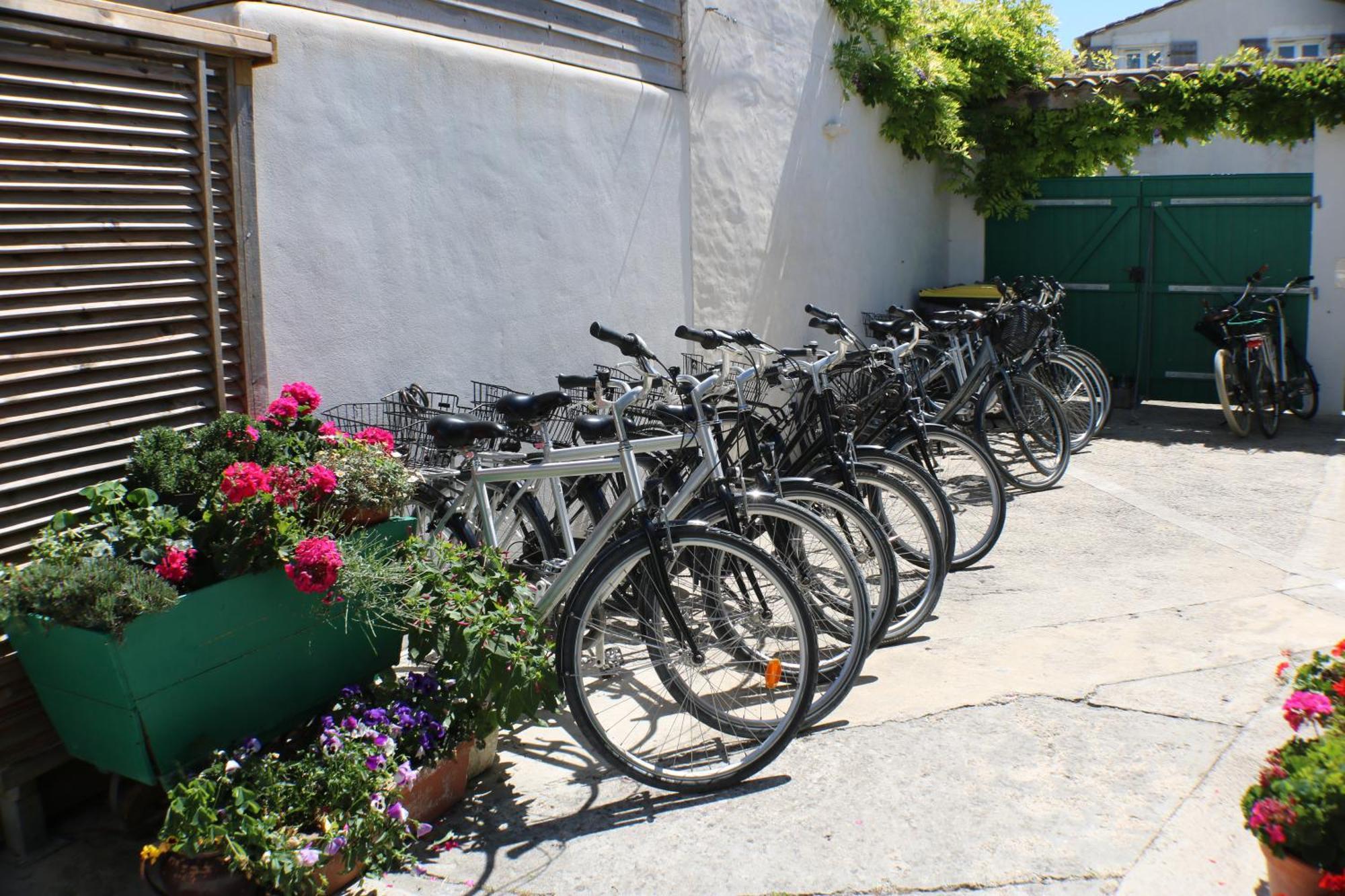Beau T3 *** Pour 2 A 4 Pers Avec Patio Privatif Lägenhet La Couarde-sur-Mer Exteriör bild
