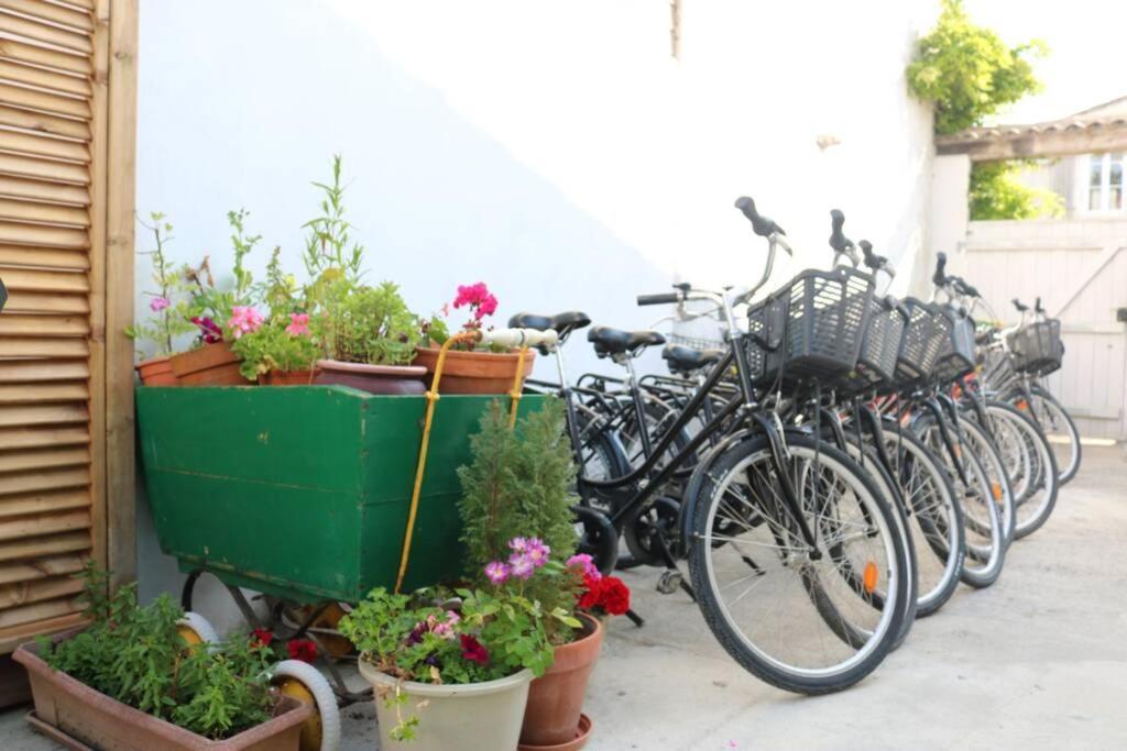 Beau T3 *** Pour 2 A 4 Pers Avec Patio Privatif Lägenhet La Couarde-sur-Mer Exteriör bild